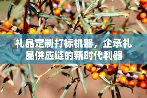 礼品定制打标机器，企承礼品供应链的新时代利器
