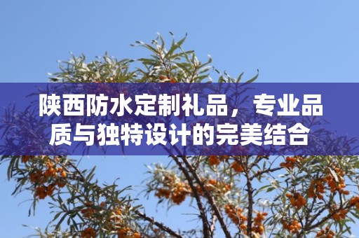陕西防水定制礼品，专业品质与独特设计的完美结合